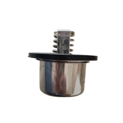 Termostato de Refrigerante Cummins 4318947