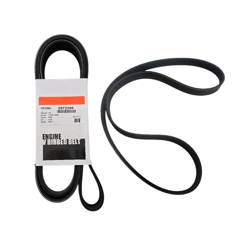 Correa Serpentina Para Cummins 3972380 Correa Multicanal