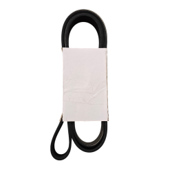 Correa Serpentina Para Cummins 3972380 Correa Multicanal